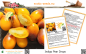 Preview: Tomate * Indigo Pear Drops * Buschtomate * birnenförmige Kirschtomate * 25 Samen